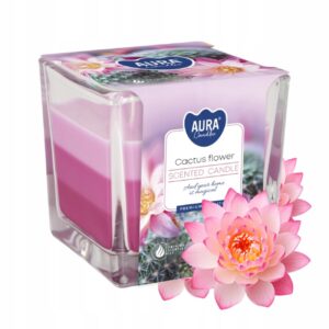 Aura Świeca Zapachowa 3-Kolorowa – Cactus Flower, 170 g, ok. 32h palenia